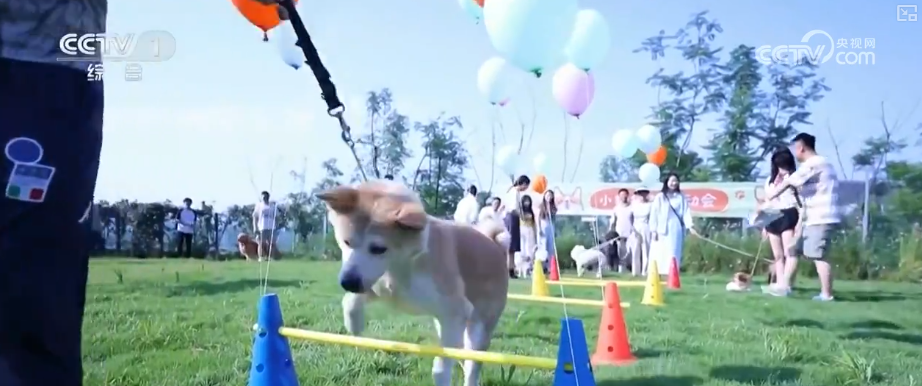 7b050bce-f14d-4fe5-a9ff-63790db05737